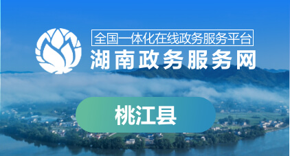 桃江县政务服务